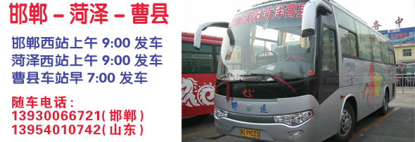 长途汽车网