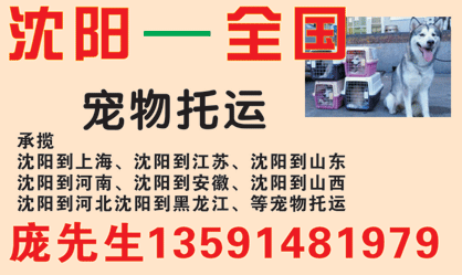 沈阳到全国名片正面