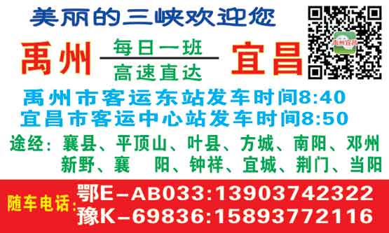 长途汽车网