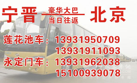 宁晋到北京名片正面