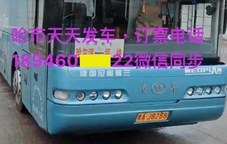 哈尔滨到绥棱名片正面