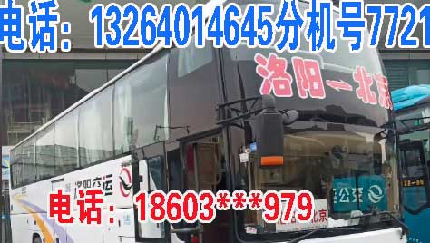 长途汽车网